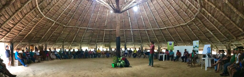 Los pueblos indígenas y el cambio climático. Guardians de La Amazonia